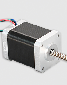 Lead screw motors